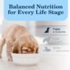 Blue Buffalo Homestyle Recipe Puppy Wet Dog Food, Made with Natural Ingredients, Chicken Dinner with Garden Vegetables & Brown Rice, 12.5-oz Cans (12 Count) - Image 8