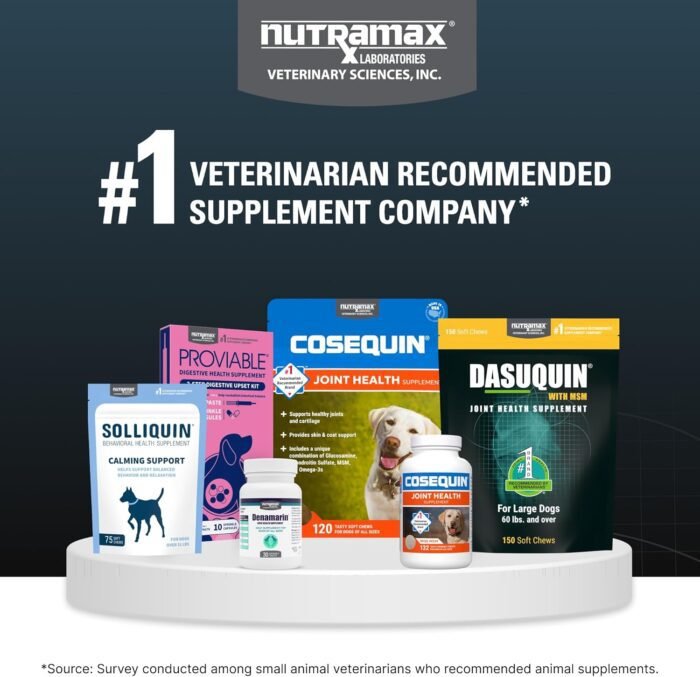 Nutramax Laboratories Dasuquin with MSM Joint Health Supplement for Large Dogs - With Glucosamine, MSM, Chondroitin, ASU, Boswellia Serrata Extract, and Green Tea Extract, 150 Soft Chews