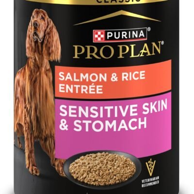 Purina Pro Plan Sensitive Skin and Stomach Dog Food Wet Classic Pate Salmon and Rice Entrée - (Pack of 12) 13 oz. Cans