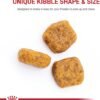 Royal Canin Poodle Adult Breed Specific Dry Dog Food, 10 lb bag - Image 3