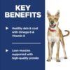 Hill's Science Diet Adult 1-6, Adult 1-6 Premium Nutrition, Dry Dog Food, Lamb & Brown Rice, 33 lb Bag