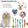 20Pcs Puppy Chew Toys for Teething, Dog Chew Toys with Rope Toys, Pet Dog Toothbrush, Treat Balls, Plush Toys and Squeaky Toys for Small Medium Dogs with Basket - Image 4