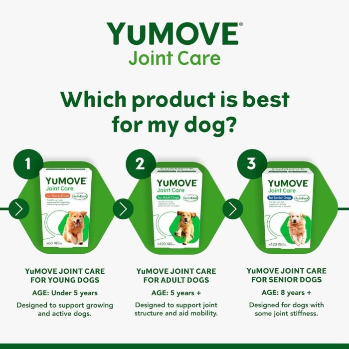 Hip and Joint Supplement for Dogs with Glucosamine, Chondroitin, MSM, Omega 3, Hyaluronic Acid, Green Lipped Mussel, & Fish Oil for Dogs - Joint Support Supplement - Senior Dogs, 240ct Tablets