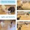 Migipaws Interactive Cat Ball Toy Set, Fun Tracker, Automatic Rolling Chase Ball with Fluffy Tail, A Small Mice, Rechargeable（White） - Image 5
