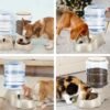 2 Pack Automatic Cat Feeder and Water Dispenser in Set Pet Food Bowl for Small Medium Dog Pets Puppy Kitten Big Capacity 1 Gallon x 2 (Cream) - Image 7