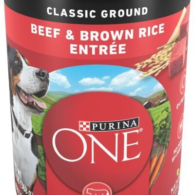 Purina ONE Classic Ground Beef and Brown Rice Entree Adult Wet Dog Food - (Pack of 12) 13 oz. Cans