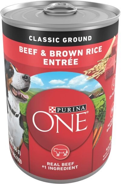 Purina ONE Classic Ground Beef and Brown Rice Entree Adult Wet Dog Food - (Pack of 12) 13 oz. Cans