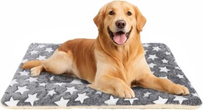 Dog Bed Dog mat Pet mat Dog Box mat Machine Washable Grey (33x23x1.5in)