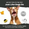 Barkbox Super Chewer Tough Dog Chew Toys for Aggressive Chewers, Dental Stimulating (Turkey - Large) - Image 7