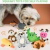 LEGEND SANDY Dog Squeaky Toys for Small Dogs, 12 Pack Puppy Toys for Teething, Cute Small Dog Animals Stuffed Plush Pet Toy Bundle, Natural Cotton Puppy Rope, Puppy Chew to Keep Them Busy