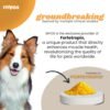 MYOS Canine Muscle Formula - All-Natural Muscle Building Supplement - Helps Reduce Muscle Loss in Aging Dogs and Improve Recovery from Injury or Surgery - Image 5