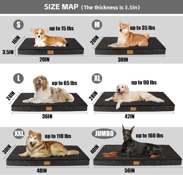 Patas Lague Orthopedic Dog Bed for Large Dogs, Soft Comfortable Waterproof Egg Crate Foam Medium Pet Beds Mat with Removable Washable Cover, 36''X24'' Black