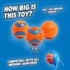 Chuckit! Dog Balls - Interactive Dog Toys, High-Bounce Fetch Ball, Floating Ultra and Rugged Balls, Durable - Size Medium, 2.5-inch Diameter, Set of 3 - Image 3