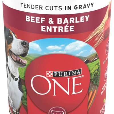 Purina ONE Tender Cuts in Gravy Beef and Barley Entree in Wet Dog Food Gravy - (Pack of 12) 13 oz. Cans