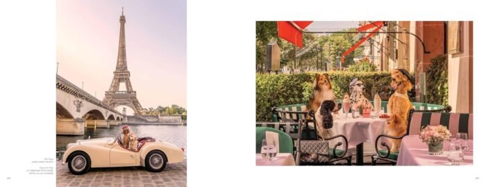 Gray Malin: Dogs: Photographs