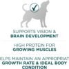 Purina ONE Plus Large Breed Puppy Food Dry Formula - 40 Lb. Bag. - Image 4