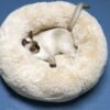 BODISEINT Modern Soft Plush Round Pet Bed for Cats or Small Dogs, Mini Medium Sized Dog Cat Bed Self Warming Autumn Winter Indoor Snooze Sleeping Cozy Kitty Teddy Kennel (20'' D x 8'' H, Champagne) - Image 3