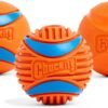 Chuckit! Dog Balls - Interactive Dog Toys, High-Bounce Fetch Ball, Floating Ultra and Rugged Balls, Durable - Size Medium, 2.5-inch Diameter, Set of 3 - Image 6