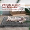 Mora Pets Self Heating Cat Bed Self Warming Cat Pad Ultra Warm Thermal Cat Mat Pet Bed 24 x 18 Inches with Removable Cover Outdoor Indoor for Cats and Small Dogs Machine Washable - Image 6