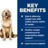 Hill's Science Diet Perfect Weight, Adult 1-6, Weight Management Support, Wet Dog Food, Chicken & Vegetables Stew, 12.5 oz Can, Case of 12 - Image 4