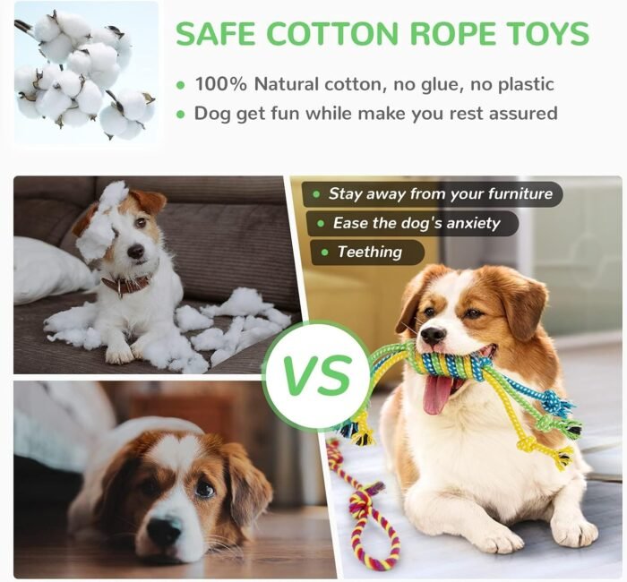 LEGEND SANDY Dog Squeaky Toys for Small Dogs, 12 Pack Puppy Toys for Teething, Cute Small Dog Animals Stuffed Plush Pet Toy Bundle, Natural Cotton Puppy Rope, Puppy Chew to Keep Them Busy