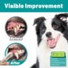 Dog Dental Care Finger Wipes - Teeth Cleaning Finger Wipes for Dog & Cats - Tooth Brushing Kit Dental Wipes for Dog - Reduces Plaque & Freshens Breath (50 PCS, Unscented) - Image 4