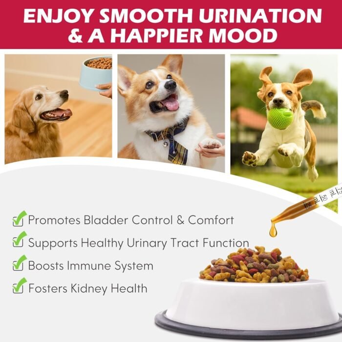 Dog UTI Treatment, Xsvseie Urinary Tract Drops for Dogs Natural Urinary Tract Infection Treatment Drops Natural Herbal Supplement with Cranberry Bladder Health for Dogs All Breeds