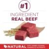 Purina ONE Small Bites Beef and Rice Formula Small High Protein Dry Dog Food Natural with Added Vitamins, Minerals and Nutrients - 31.1 lb. Bag - Image 3