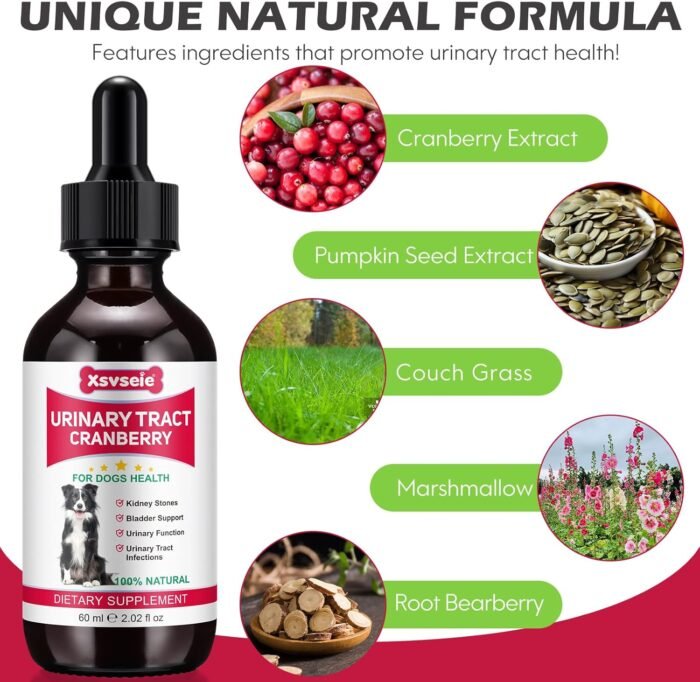 Dog UTI Treatment, Xsvseie Urinary Tract Drops for Dogs Natural Urinary Tract Infection Treatment Drops Natural Herbal Supplement with Cranberry Bladder Health for Dogs All Breeds