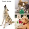 Nocciola Dog Squeaky Toys, Plush Small Dog Toys for Dogs, Stuffed Dog Toys with Squeakers,12 pcs Puppy Toys with a Carrying Bag for Small Medium Size Dogs - Image 6