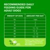 IAMS Proactive Health Minichunks Adult Dry Dog Food with Real Chicken and Whole Grains, 7 lb. Bag