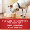 Purina ONE Plus Tender Cuts in Gravy Healthy Weight Lamb and Brown Rice Entree in Wet Dog Food Gravy - (Pack of 12) 13 oz. Cans - Image 6