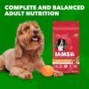 IAMS Minichunks Adult Dry Dog Food Lamb & Rice Recipe Dog Kibble, 30 lb. Bag