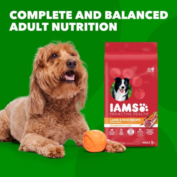 IAMS Minichunks Adult Dry Dog Food Lamb & Rice Recipe Dog Kibble, 30 lb. Bag