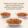 Rachael Ray Nutrish Natural Premium Wet Dog Food, Savory Favorites Variety Pack, 8 Ounce Tub (Pack of 6) (6303230800) - Image 5