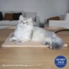 NICREW Pet Heating Pad for Dogs and Cats, Heated Cat Bed with Steel-Wrapped Cord and Soft Fleece Cover, 17.7 x 15.7 Inches, 30 Watts - Image 3
