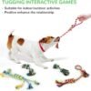 LEGEND SANDY Dog Squeaky Toys for Small Dogs, 12 Pack Puppy Toys for Teething, Cute Small Dog Animals Stuffed Plush Pet Toy Bundle, Natural Cotton Puppy Rope, Puppy Chew to Keep Them Busy