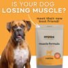 MYOS Canine Muscle Formula - All-Natural Muscle Building Supplement - Helps Reduce Muscle Loss in Aging Dogs and Improve Recovery from Injury or Surgery - Image 4