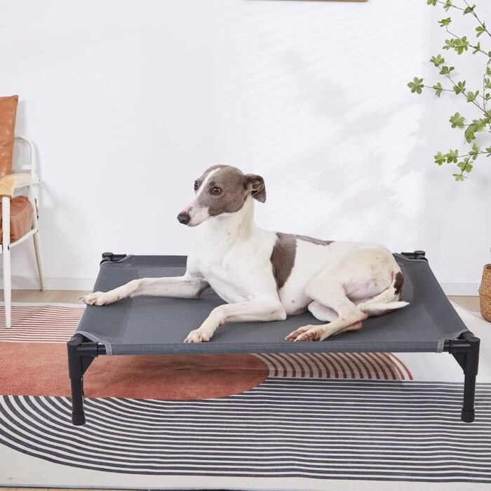 pettycare Elevated Outdoor Dog Bed - Raised Cot for Large Dogs, Heavy Duty Pet Cots Waterproof, Cooling, Washable Breathable Teslin Mesh, Durable, Non Slip, 42 Inches, Grey