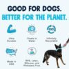 West Paw Zogoflex Echo Zwig Squeezy Dog Fetching Stick – Bouncy, Hollow, Squishy Interactive Toy for Puppies, Large Dogs – Floatable Stick, Lightweight Chewy Toy for Catch/Fetch – 13.75”, Jungle Green - Image 3