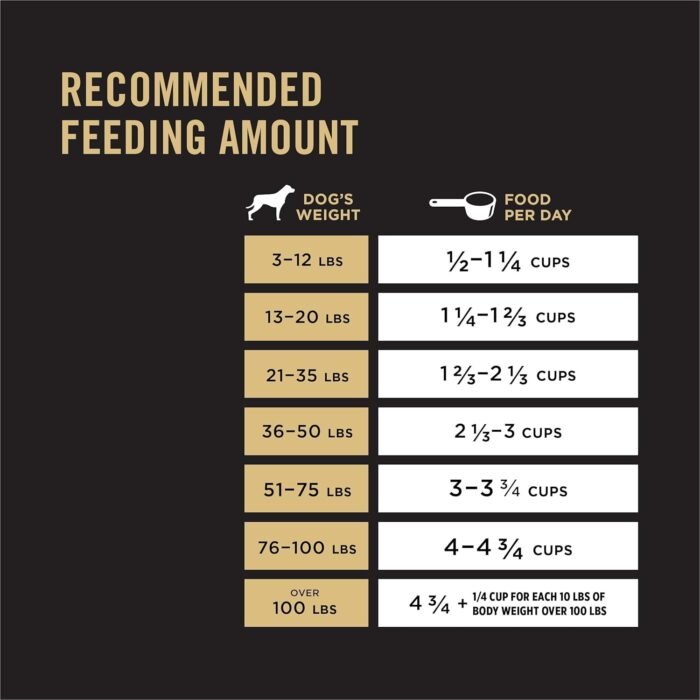 Purina Pro Plan Complete Essentials Shredded Blend Salmon and Rice Dog Food Dry Formula with Probiotics for Dogs - 5 lb. Bag