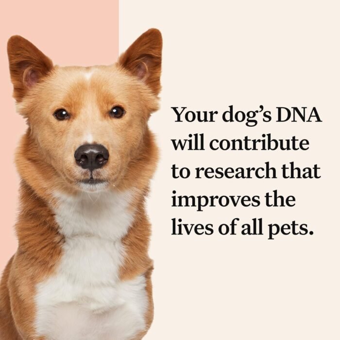 Wisdom Health Panel Premium Dog DNA Kit: Most Comprehensive with 265+ Health Tests, Identify 365+ Dog Breeds, 50+ Traits, Relatives, Ancestry, Genetic Diversity - Pack of 2