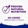 Wellness Complete Health Large Breed Adult Dry Dog Food, No Corn or Wheat, Made in USA with Real Meat, Natural Ingredients, Glucosamine, Probiotics & Omega Fatty Acids (30-Pound Bag) - Image 5