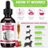 Dog UTI Treatment, Xsvseie Urinary Tract Drops for Dogs Natural Urinary Tract Infection Treatment Drops Natural Herbal Supplement with Cranberry Bladder Health for Dogs All Breeds