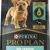 Purina Pro Plan High Protein Small Breed Puppy Food DHA Chicken & Rice Formula - 6 lb. Bag
