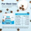 Vetnique Labs Glandex Anal Gland Soft Chew Treats with Pumpkin for Dogs Digestive Enzymes, Probiotics Fiber Supplement for Dogs Boot The Scoot (Peanut Butter Chews, 60 Count) - Image 7
