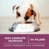 Purina ONE Plus Healthy Puppy Formula High Protein Natural Dry Puppy Food with added vitamins, minerals and nutrients - 16.5 lb. Bag - Image 7