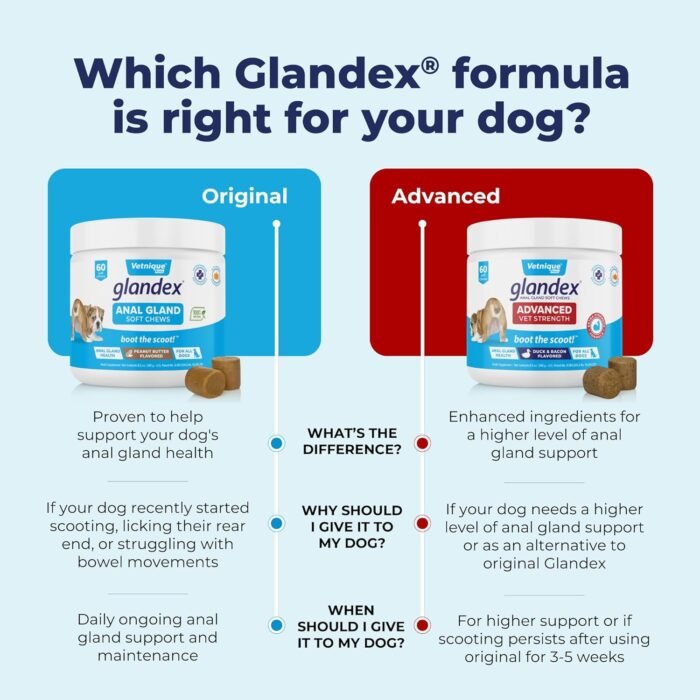 71lom5lNuIL._AC_SL1500_.jpg Vetnique Labs Glandex Anal Gland Soft Chew Treats with Pumpkin for Dogs Digestive Enzymes, Probiotics Fiber Supplement for Dogs Boot The Scoot (Peanut Butter Chews, 60 Count)