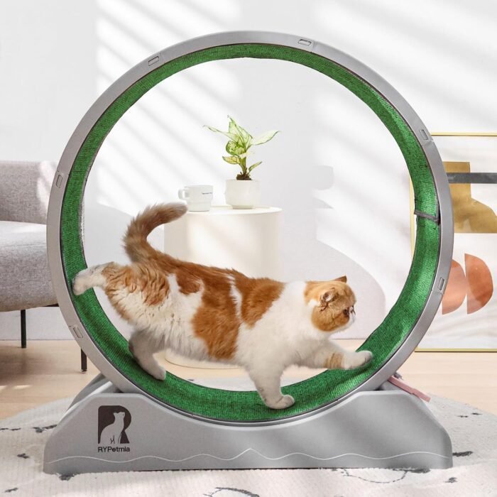 Cat Exercise Wheel, 31.5 Inch Cat Treadmill for Indoor Cats, Cat Running Wheel with Carpeted Runway, Easy to Install & Fitness & Health, Suitable for Most Cats, Plastic Cat Wheel