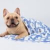 1 Pack 3 Blankets Super Soft Fluffy Premium Cute Elephant Pattern Pet Blanket Flannel Throw for Dog Puppy Cat Blue/Pink/Yellow Small(23x16 inch) - Image 5